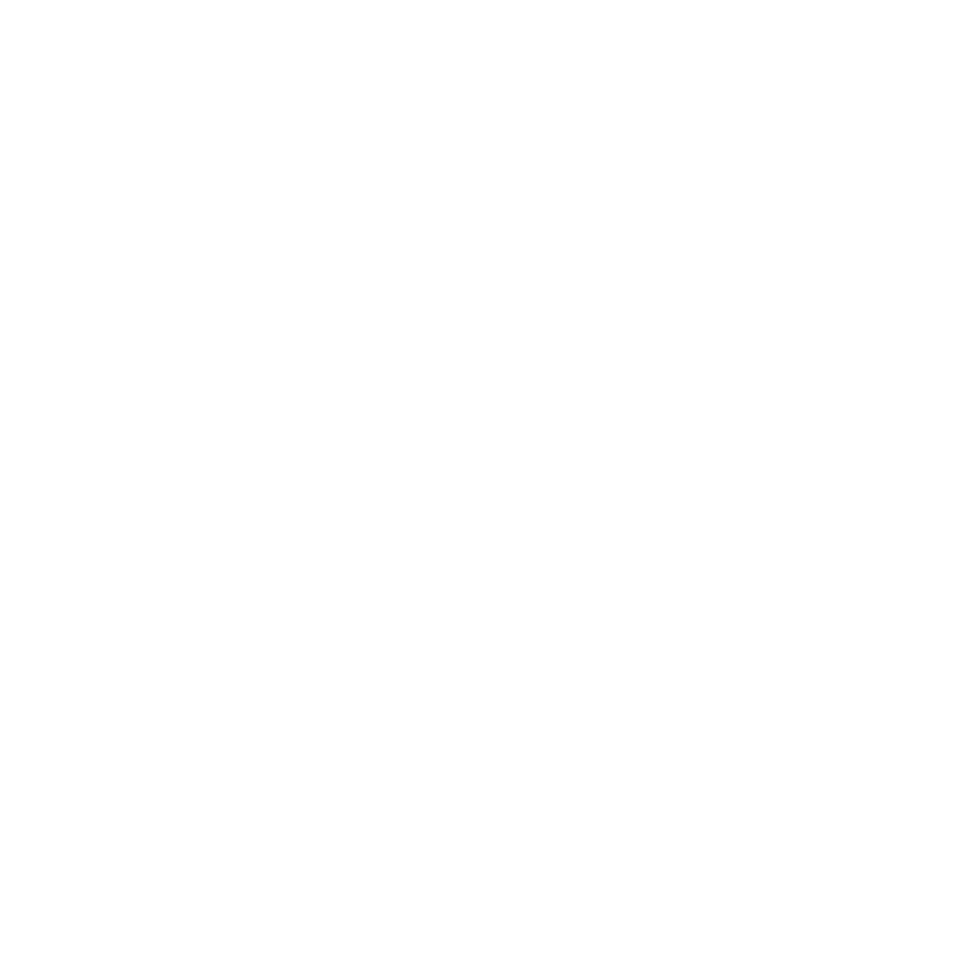 SCHOOL OF POLITICAL HOPE